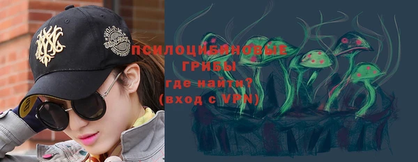 прущая мука Белокуриха