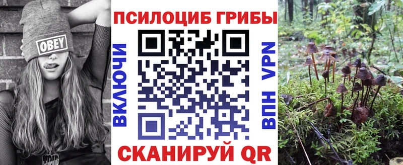 Псилоцибиновые грибы мицелий  mega ссылки  Брянск 